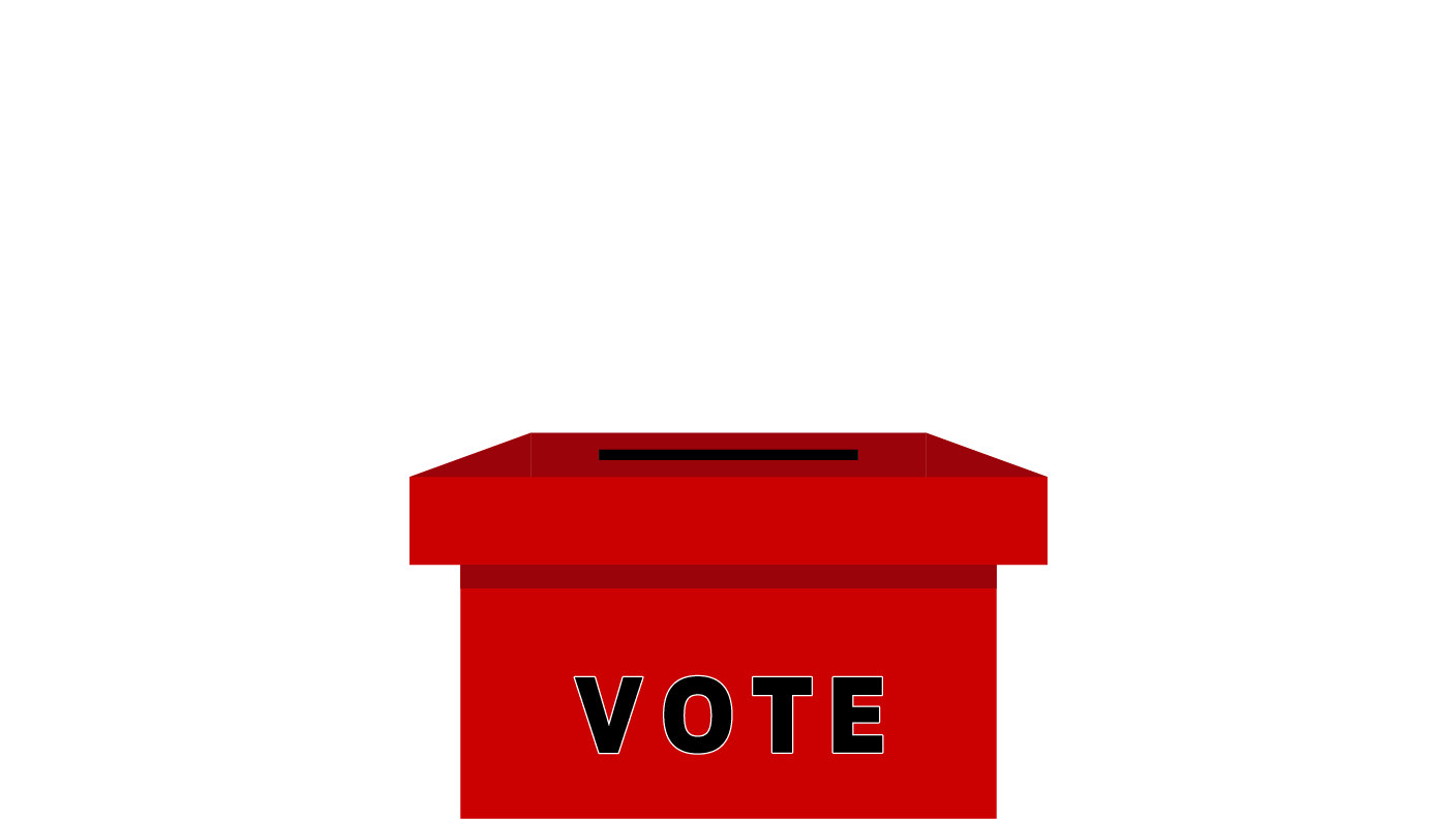 Political Campaign Services